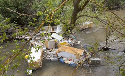 Imagen tomada a finales de abril en el río Guadarrama a su paso por Batres.