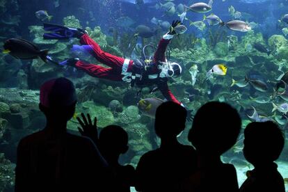 Un buceador con traje de Papá Noel nada en presencia de visitantes dentro de el acuario KLCC en Kuala Lumpur.