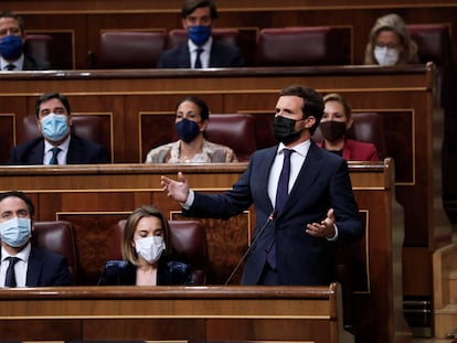 El líder popular, Pablo Casado, durante una sesión de control al Gobierno.