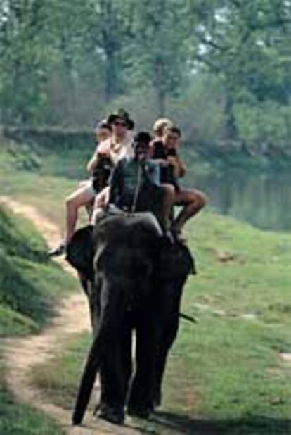En el parque nacional de Chitwan, en Nepal, se realizan excursiones por la naturaleza a lomos de elefantes.