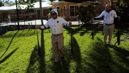 Dos hombres desplazan a cuatro iguanas congeladas en Florida este viernes.