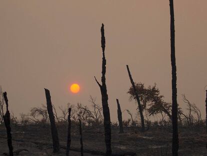 Miles de personas evacuadas por un incendio de California