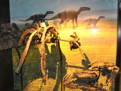 Cráneo y otros fósiles del nuevo dinosaurio encontrado en la mina de Ariño, expuestos en Dinópolis (Teruel).