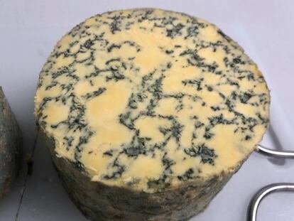 Savel, mejor queso azul de España 2019 / Capel