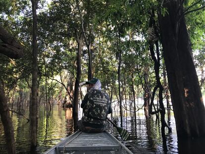 Navegando en canoa por la selva inundada de la reserva de Mamirauá, en Brasil.  