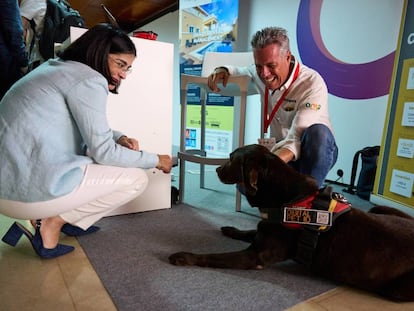 Cómo es emprender en el ámbito de los animales de compañía