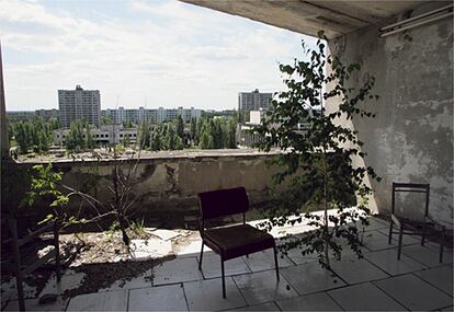 En Pripiat, a tres kilómetros de Chernóbil, vivían 50.000 personas. Ahora los animales salvajes pasean por sus avenidas desiertas y la vegetación crece incluso en los pisos altos del que fue su hotel.