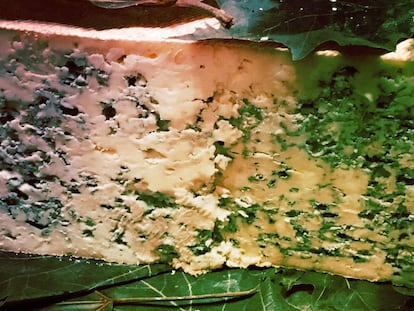 Imagen del queso azul de Valdeón listo para su degustación.