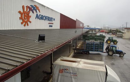 Sede del grupo Agrofruit en Tortosa.