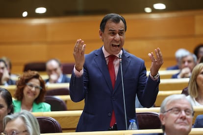 El senador del PP Fernando Martínez Maíllo interviene durante un pleno en el Senado, a 17 de junio de 2025, en Madrid.