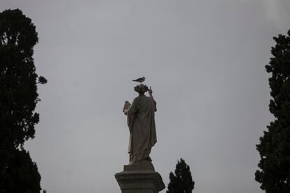 Una gaviota sobre una estatua del cementerio de Montjuïc.