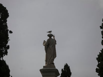 Una gaviota sobre una estatua del cementerio de Montjuïc.