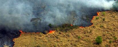 Vista aérea de un sector arrasado por un incendio forestal en la localidad de San Pedro