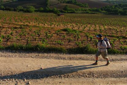 Ruta por los viñedos del Bierzo, en León.