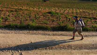 Ruta por los viñedos del Bierzo, en León.