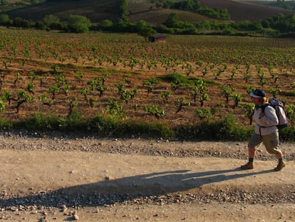 Ruta por los viñedos del Bierzo, en León.