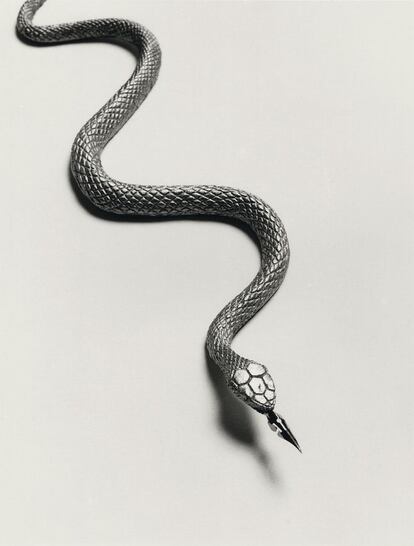 Una de las nuevas obras de Chema Madoz, que se exponen en la galería madrileña Elvira González.