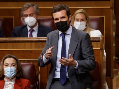 El líder del PP, Pablo Casado, durante una intervención en el Congreso.