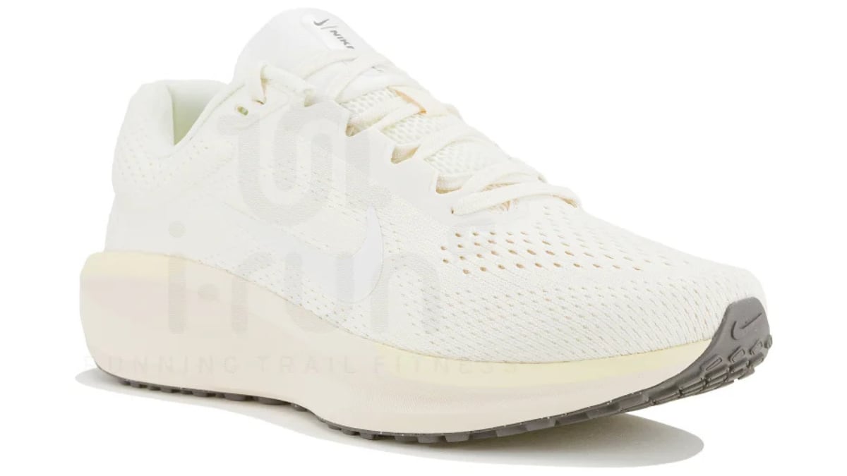 Nike Air Winflo 11.