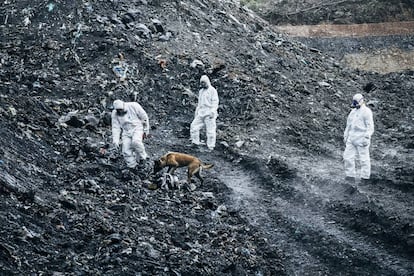 La Ertzaintza, en labores de búsqueda con la ayuda de la unidad canina.