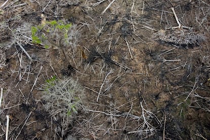 Una vista aérea de una zona deforestada en el Estado de Acre (Brasil) en diciembre de 2022.
