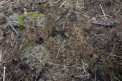 Una vista aérea de una zona deforestada en el Estado de Acre (Brasil) en diciembre de 2022.