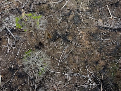 Una vista aérea de una zona deforestada en el Estado de Acre (Brasil) en diciembre de 2022.