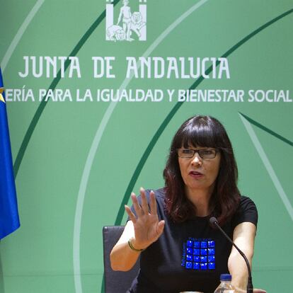 La consejera de Igualdad y Bienestar Social, Micaela Navarro, ayer en la comparecencia ante los medios.