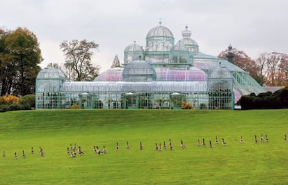 Los Invernaderos Reales de Laeken, al noroeste de Bruselas, asombran por su arquitectura 'art noveau', por sus dimensiones y por la belleza y variedad de sus plantas, árboles y flores exóticas. Hasta el 5 de mayo (solo abren al público tres semanas al año) se pueden visitar (por libre, no hay rutas guiadas) sus rotondas, cúpulas y galerías cubiertas, una serie de estructuras monumentales de hierro y cristal proyectadas en 1873 por el arquitecto Alphonse Balat por encargo de Leopoldo II de Bélgica. Tras la muerte de Balat en 1895, los arquitectos Henri Maquet y Charles Girault concluyeron el trabajo empezado más de 20 años antes y pagado con el caucho de Congo, la colonia que tan cruelmente explotó el infame Leopoldo y de la que proceden varias de las colecciones botánicas.