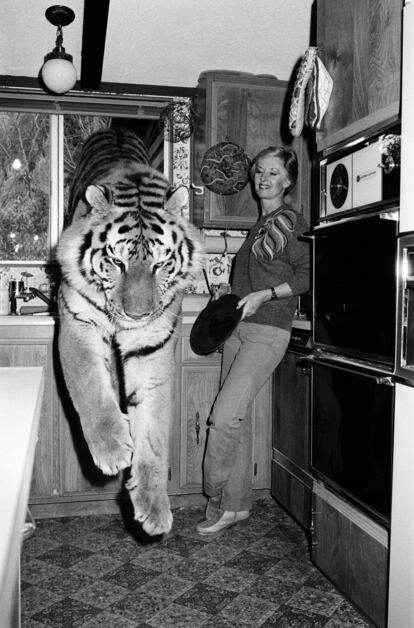 Tippi Hedren y el león Neil. La musa y víctima de Hitchcock rodó junto a su segundo marido, Noel Marshall, una película titulada El Gran Rugido. La cinta se estrenó en 1981 y en ella el matrimonio invirtió todo su patrimonio, el rodaje duró más de 10 años y causó más de 70 heridos, incluida la hija de la actriz, Melanie Giffith, quien necesitó una operación de cirugía plástica en el ojo tras un zarpazo: rodaron junto a 132 leones, tigres, pumas, jaguares, leopardos y panteras. Hedren se mudó con su familia a la reserva natural en Acton, en California, y tras divorciarse de Marshall continuó viviendo en este santuario animal. Uno de los leones, llamado Neil, se convirtió en la mascota de la familia y tenía pleno acceso a la casa, incluso en ocasiones dormía en la cama con Melanie Griffith.