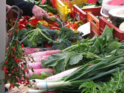 ¿Puede la agricultura ecológica alimentar al mundo?