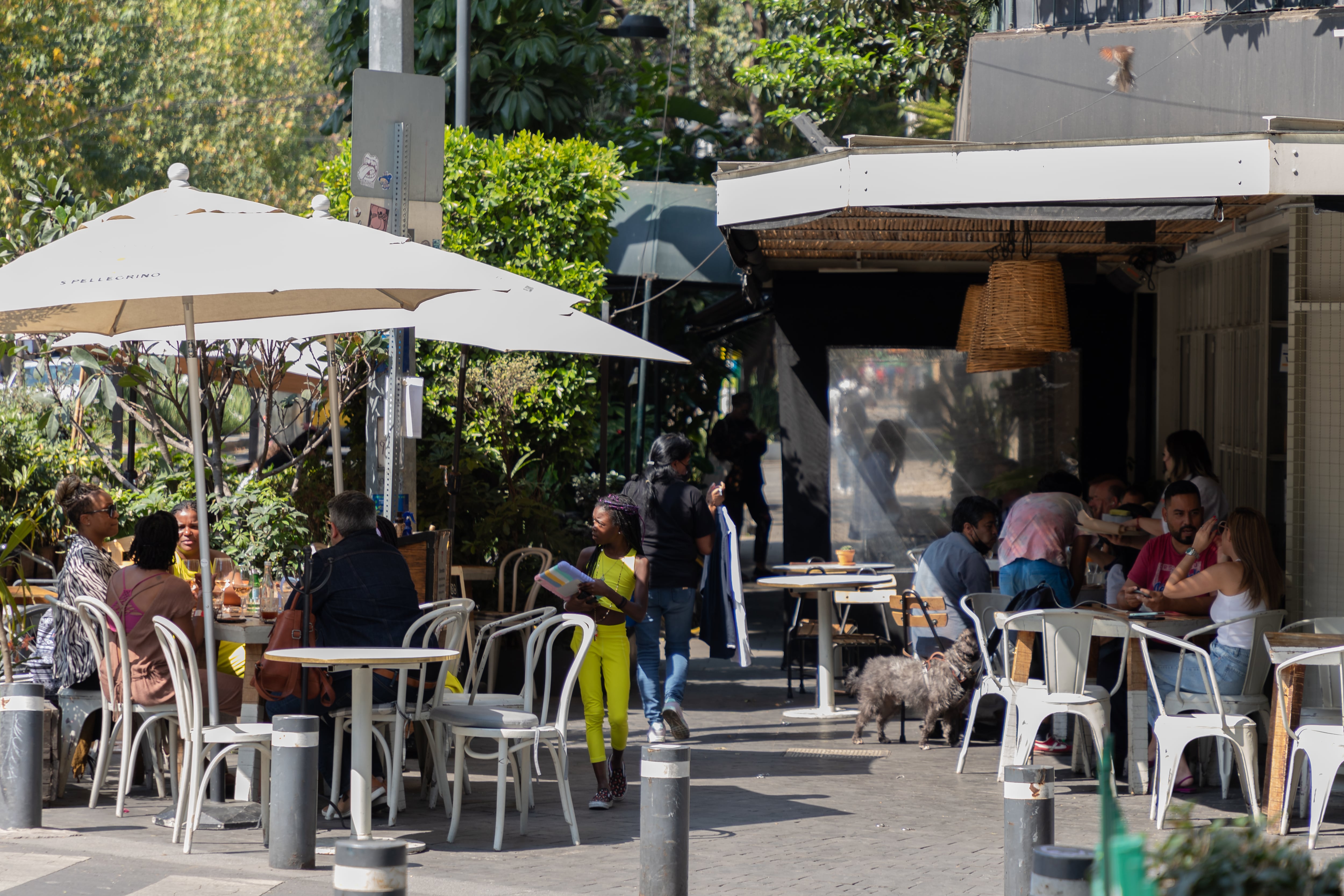 Un ‘dj’ extranjero, dos mujeres y un café: el nuevo altercado que reaviva la discusión sobre quién habita Ciudad de México