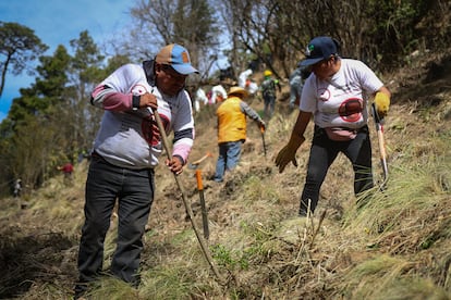 Dos miembros del colectivo ‘Una luz en el camino’ escarban la tierra y buscan indicios de restos o pertenencias.