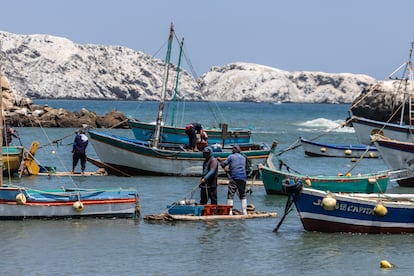 Pescadores de la Isla Foca en Piura, al norte del Perú.