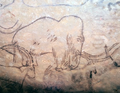 Mamut dibujado en las paredes de la cueva de Rouffignac, en Perigord (Francia).