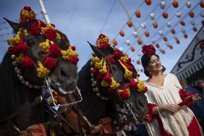 No sólo mujeres y hombres lucen sus mejores galas, también los caballos y mulas son adornados dando color a la fiesta.