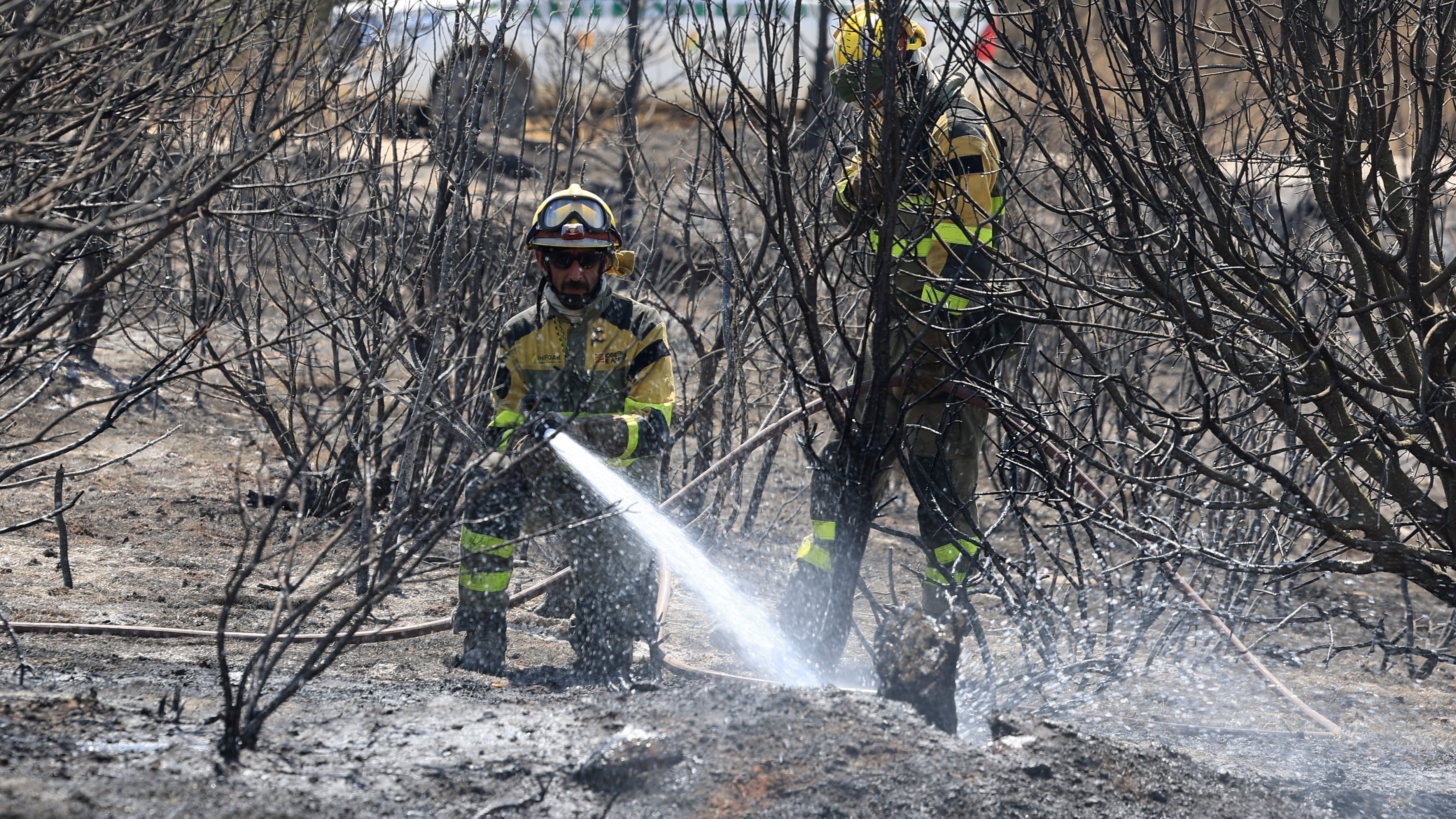 Azcón, sobre el incendio de Orés: “Hoy es el primer día que respiramos”