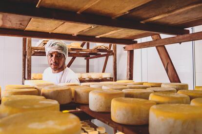 Otro ejemplo de patrimonio cultural es el de los quesos artesanos de Minas Gerais. Los queseros de este Estado brasileño se enorgullecen de usar leche cruda y el ‘pingo’, una levadura natural compuesta por bacterias de la región que contribuyen al sabor, color y aroma.