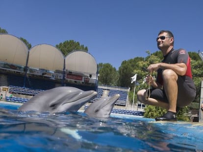 Uno de los entrenadores del Zoo junto a dos de los delfines.