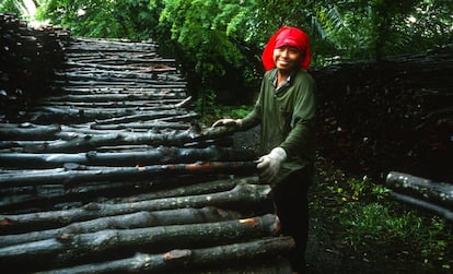 Una mujer descarga troncos de manglar que serán usados para producir carbón en Tailandia.