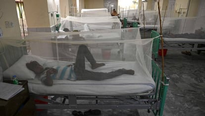 Varios pacientes afectados por dengue en un hospital.