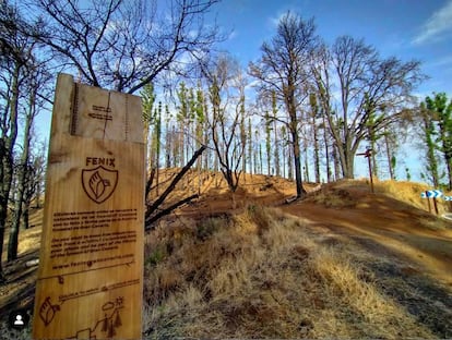 One of the wooden posts used in the project Fénix Gran Canaria.