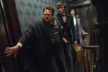 Dan Fogler, Eddie Redmayne y Katherine Waterston, en 'Animales fantásticos y dónde encontrarlos'.