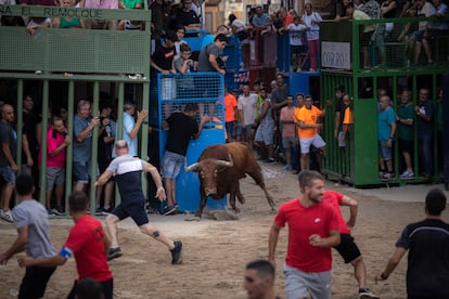 Celebración de un festejo popular en una localidad valenciana.