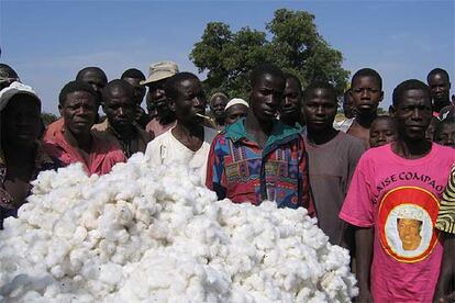 Miembros de una cooperativa de algodón en Burkina Faso.