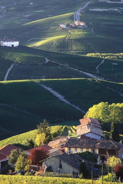 Onduladas colinas cerca de Monforte d'Alba, en la regin piamontesa de Le Langhe (Italia).