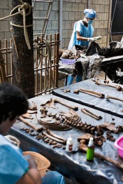 Parte del equipo de antropólogos forenses ordena y clasifica los huesos obtenidos de la fosa del cementerio de la capital, La Verbena.