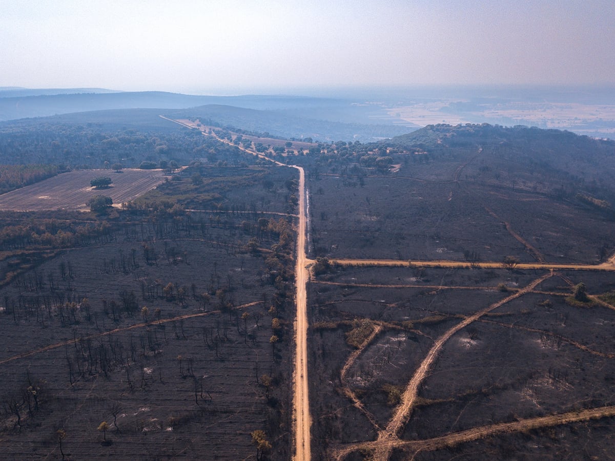 Zonas afectadas por el incendio en Cubo de Benavente, en la provincia de Zamora.