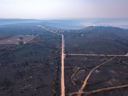 Zonas afectadas por el incendio en Cubo de Benavente, en la provincia de Zamora.