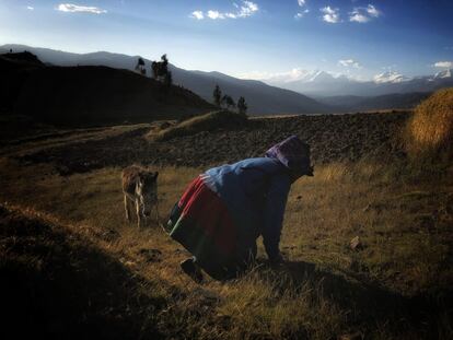 Willacocha, Huaraz, Peru.